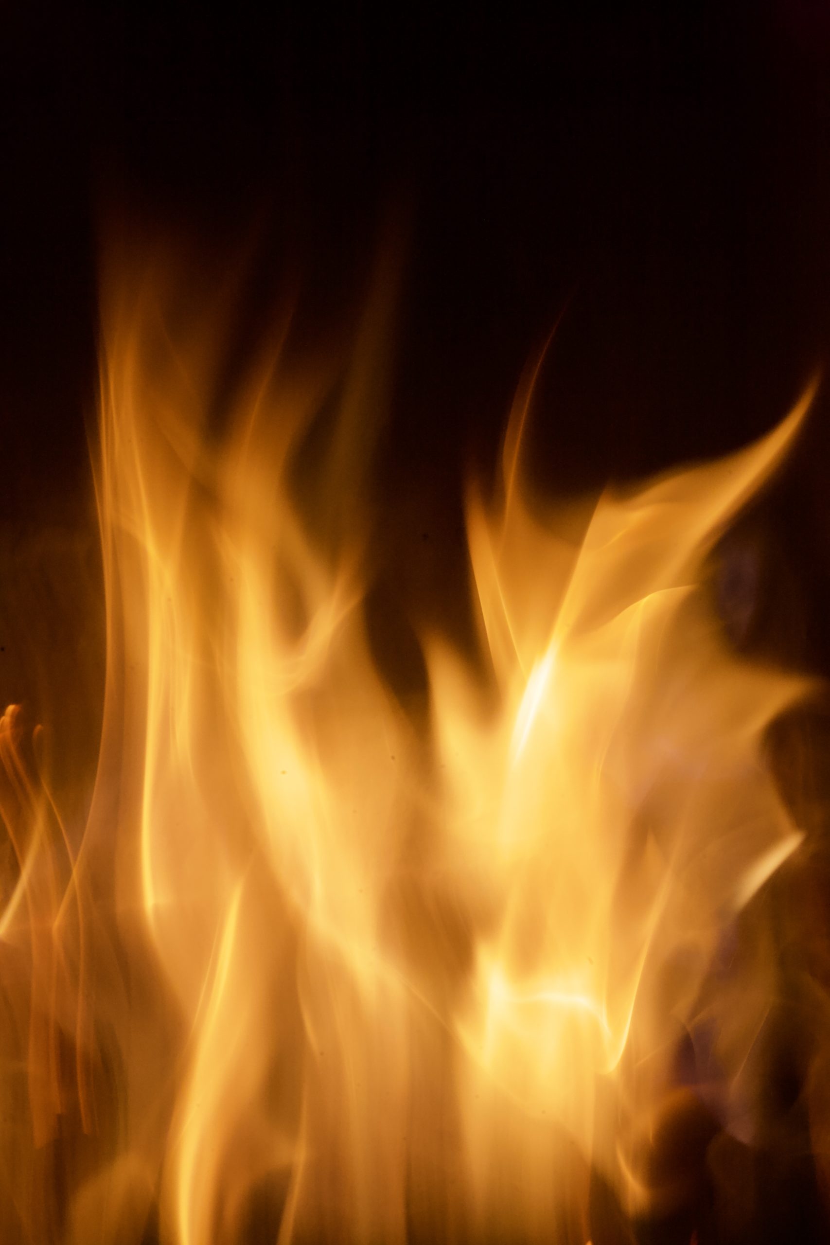 Fire the Energy of Transformation The Society of Yoga Practitioners